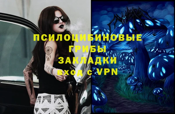 ешки Богданович