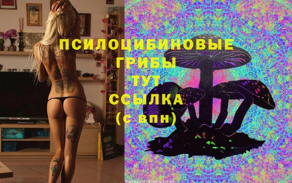 а пвп мука Богородск