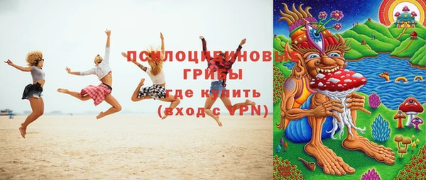 ешки Богданович